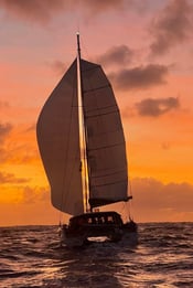 88210905-ac8d-4400-babc-cf001a982407_0