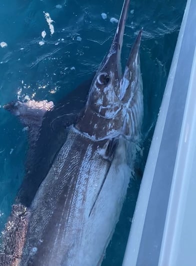 WhatsApp Image 2026-02-18 at 13-17-57 (1)