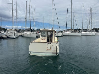 WhatsApp Image 2026-02-18 at 13.25.22 (1)